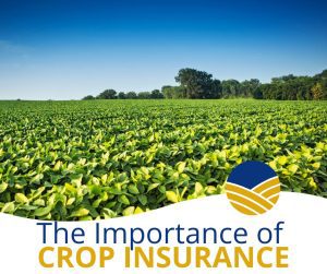 The Importance of Crop Insurance